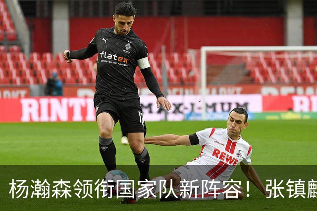 杨瀚森领衔国家队新阵容！张镇麟缺席，令人意外